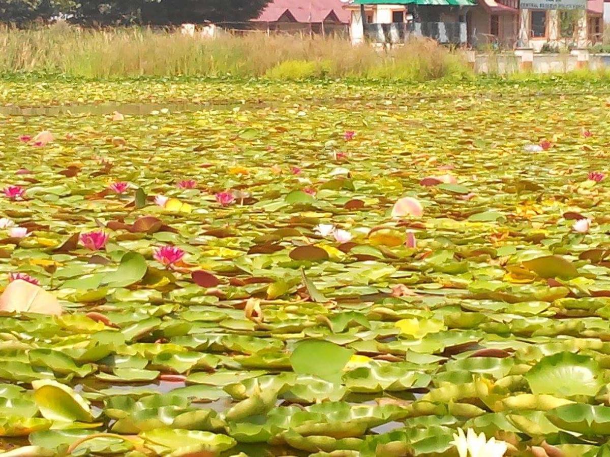 Hôtel Houseboat - City Of Kashmir à Srīnagar Extérieur photo
